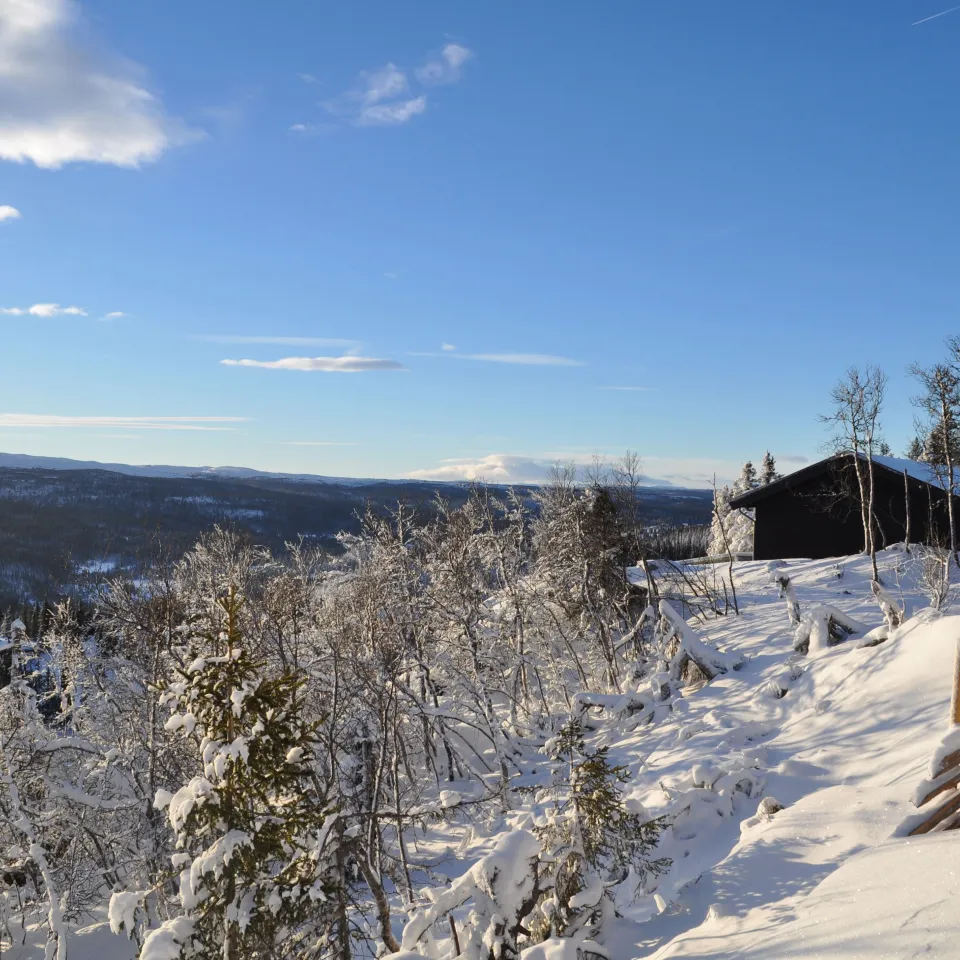 SVARTSKARDVEGEN 185