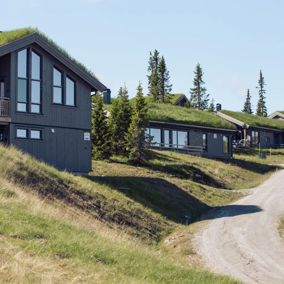 Varden Fjellandsby