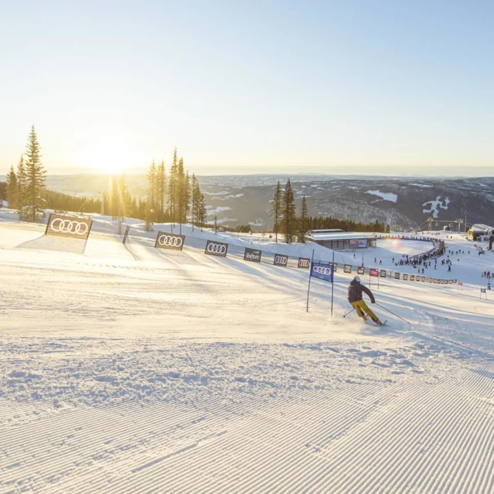 Audi Ski Run