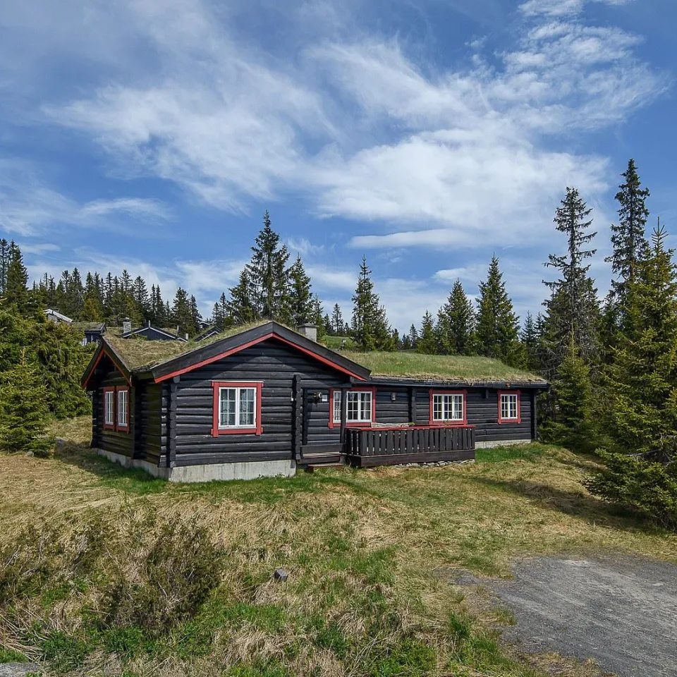 VARDVEGEN 31
