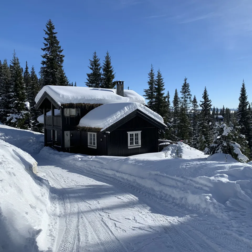 BJØNNLISKARDET 13