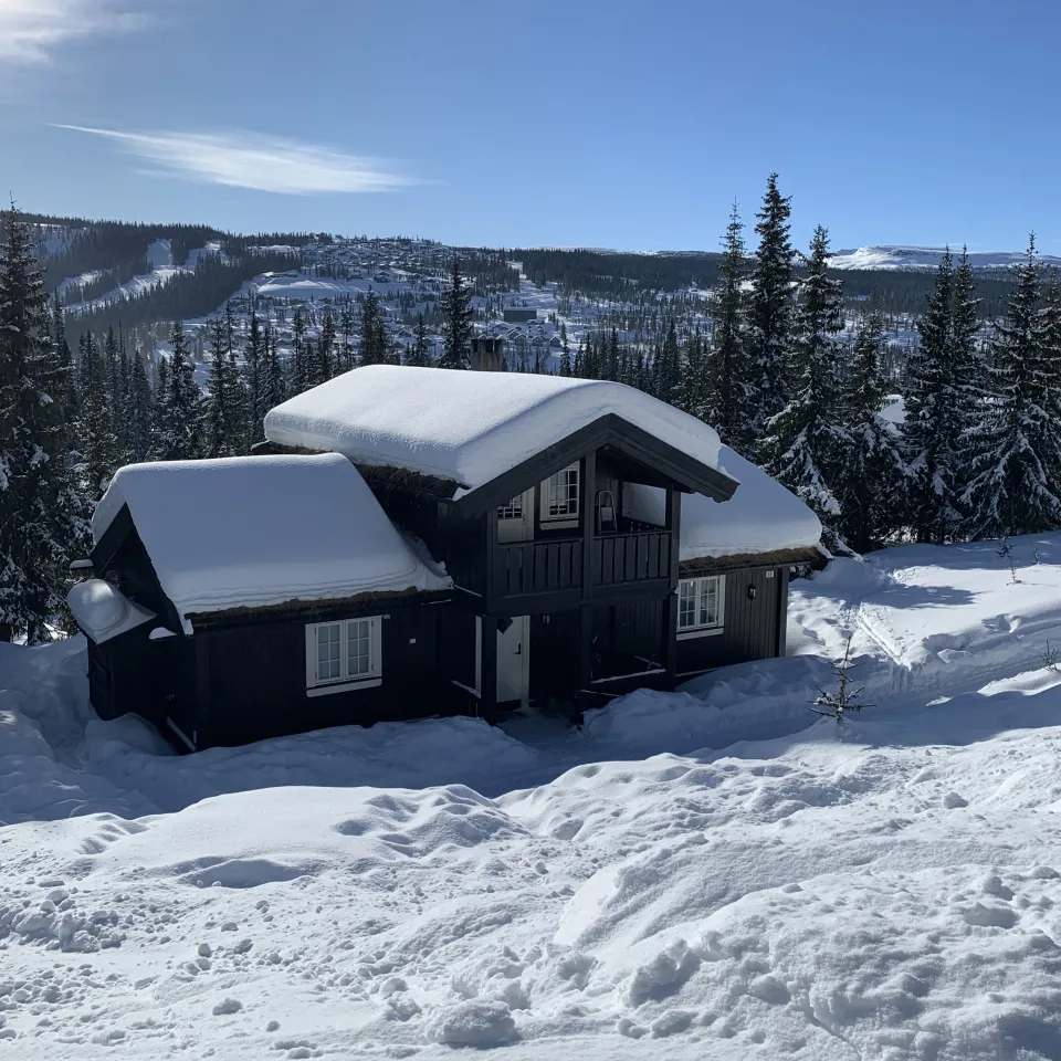 BJØNNLISKARDET 13