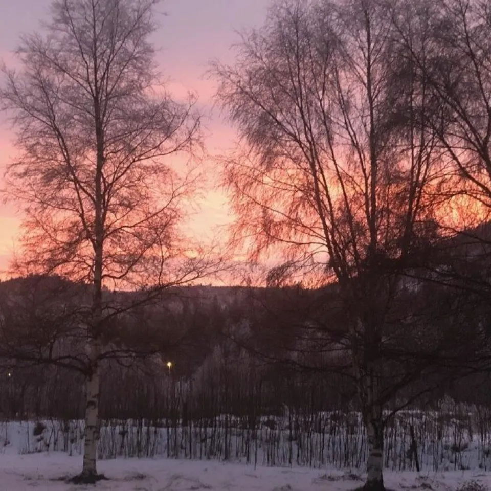 KVITFJELLTUNET 17