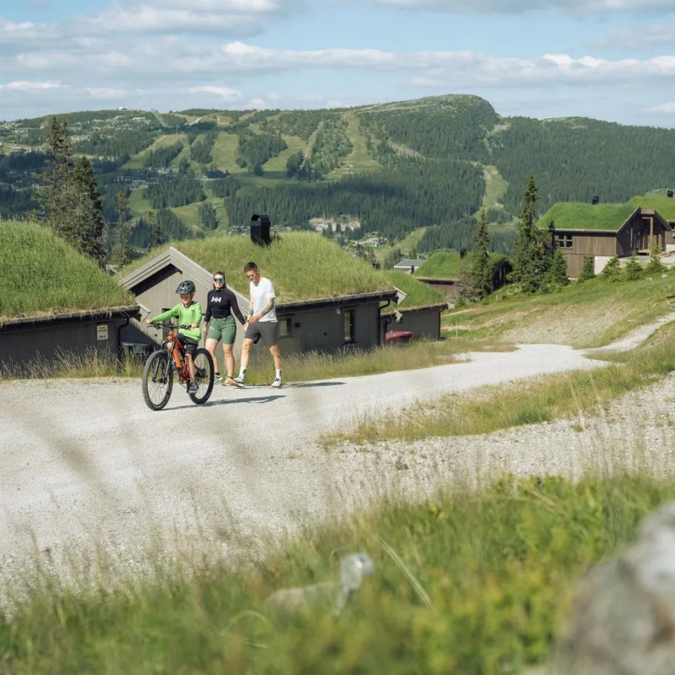 KVITFJELL - Varden Fjellandsby