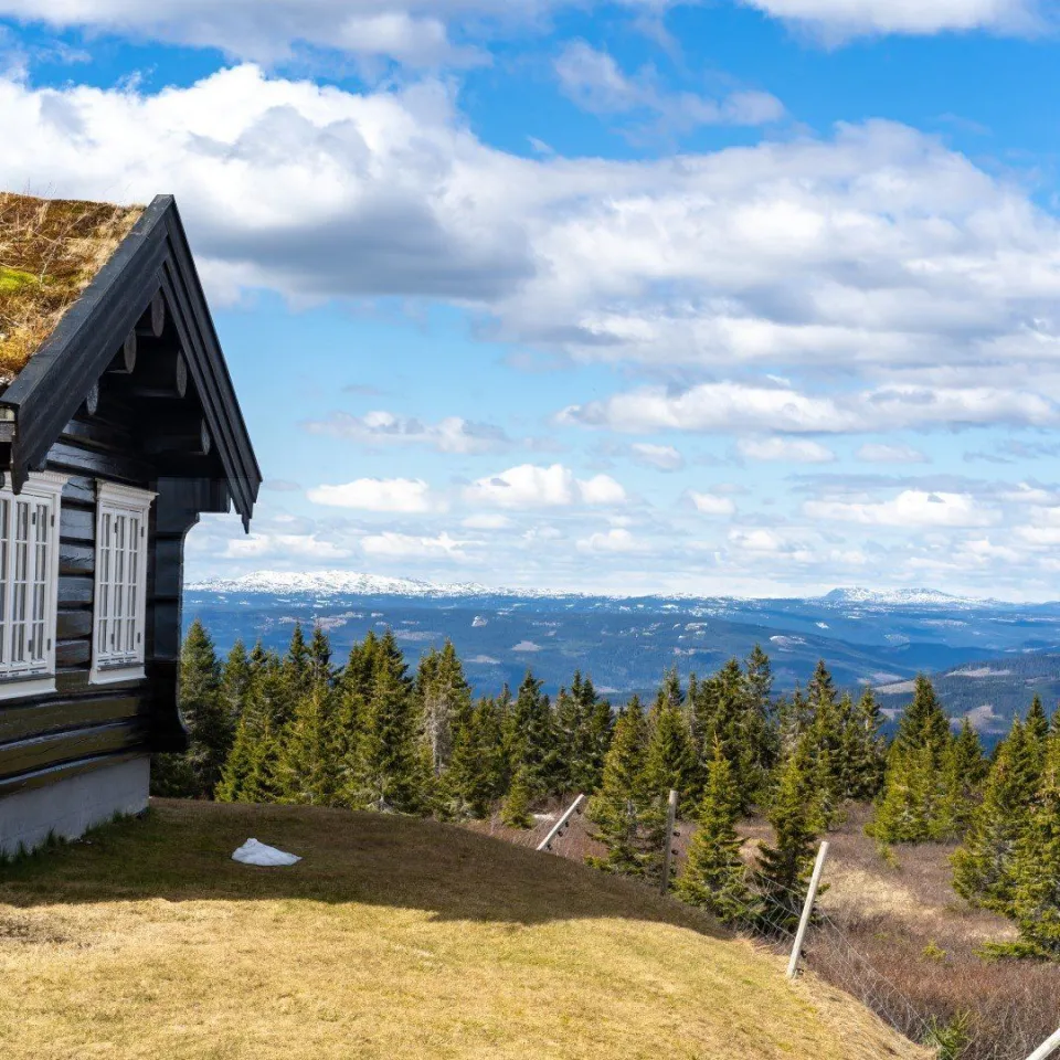 Leilighet med utsikt