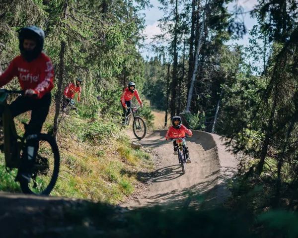 Sykkel hafjell sommer