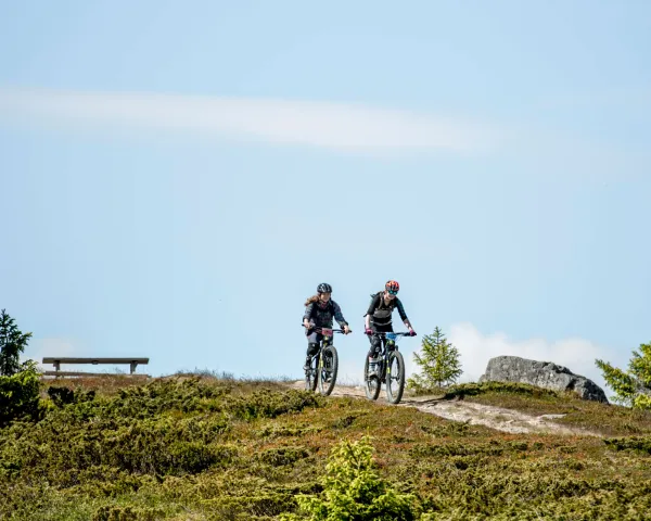 Stisykling i Hafjell