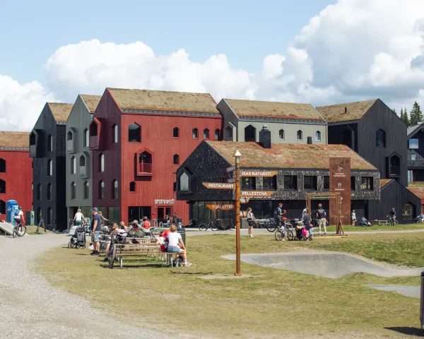Hafjell favn sommer