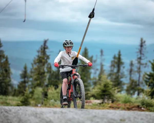 Moseterheisen Easy Loop system