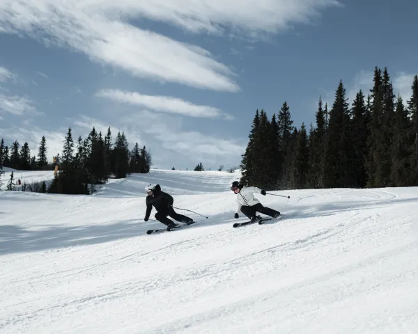 Kvitfjell
