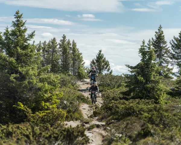 Stisykling Hafjell