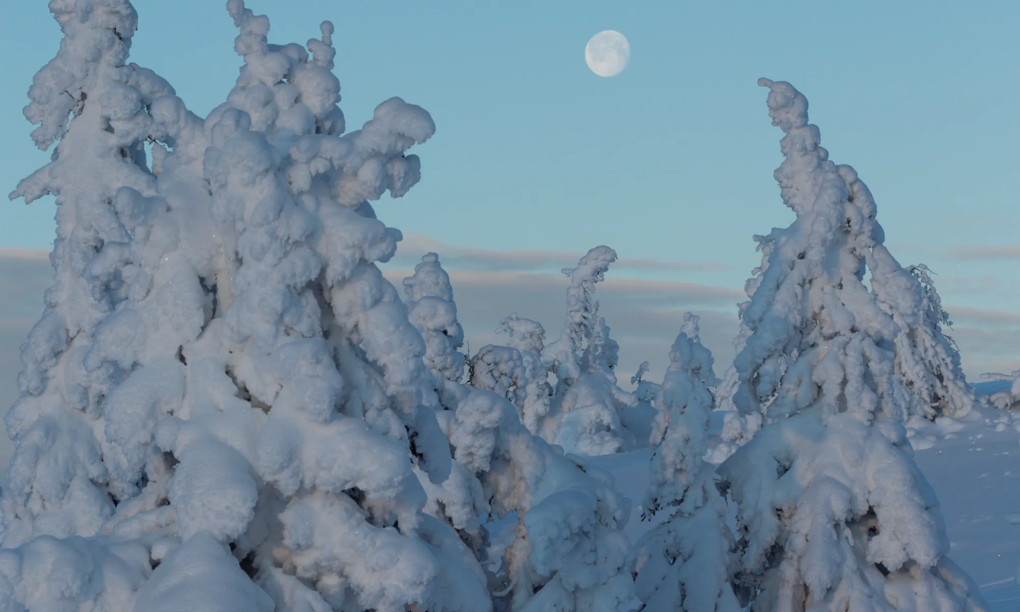 Ekte vinter i Kvitfjell Alpinanlegg.