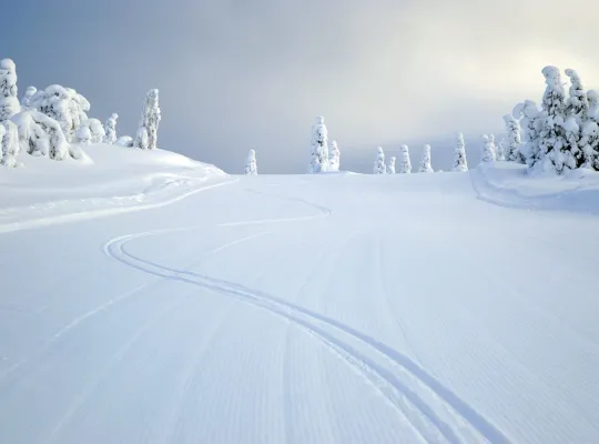 Kvitfjell skiskole