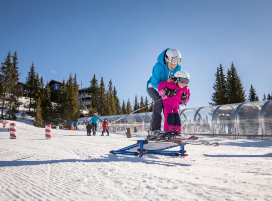 ski