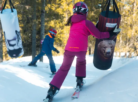 Ski