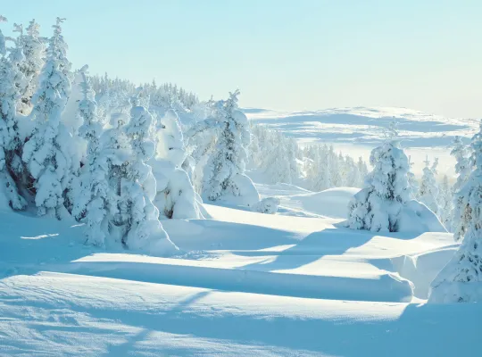 hafjell