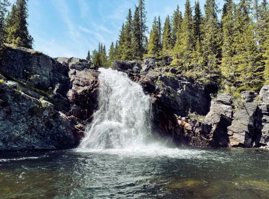 Sommeraktiviteter i Kvitfjell
