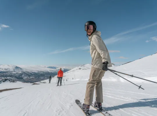 Stølen topp