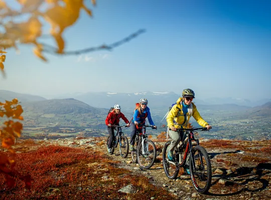 Høst i Oppdal