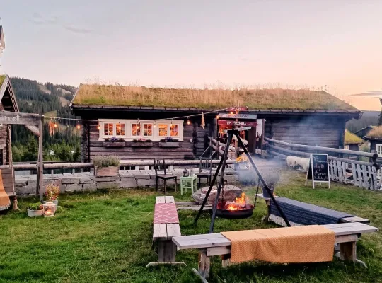 Sommer på Tyrihans