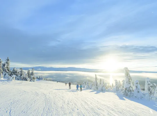 Sesongkort Kvitfjell