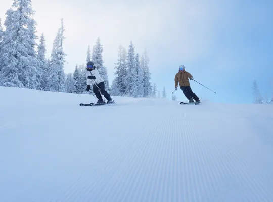 Kvitfjell