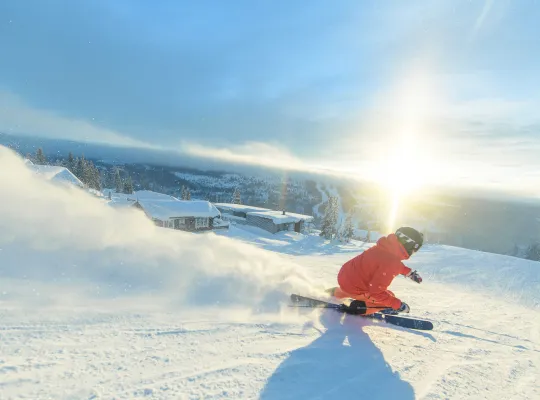 Skiskolen