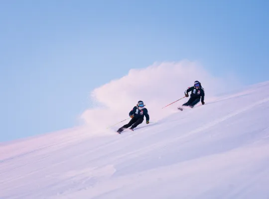 Ski