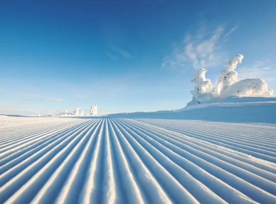 Snørapport Kvitfjell