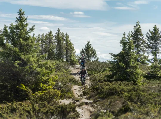 Stisykling i Hafjell