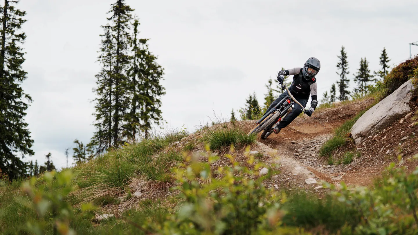 Sommer Hafjell 
