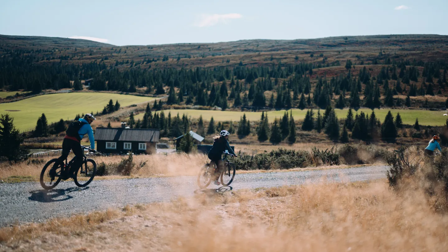 Biking in the Hafjell mountain 