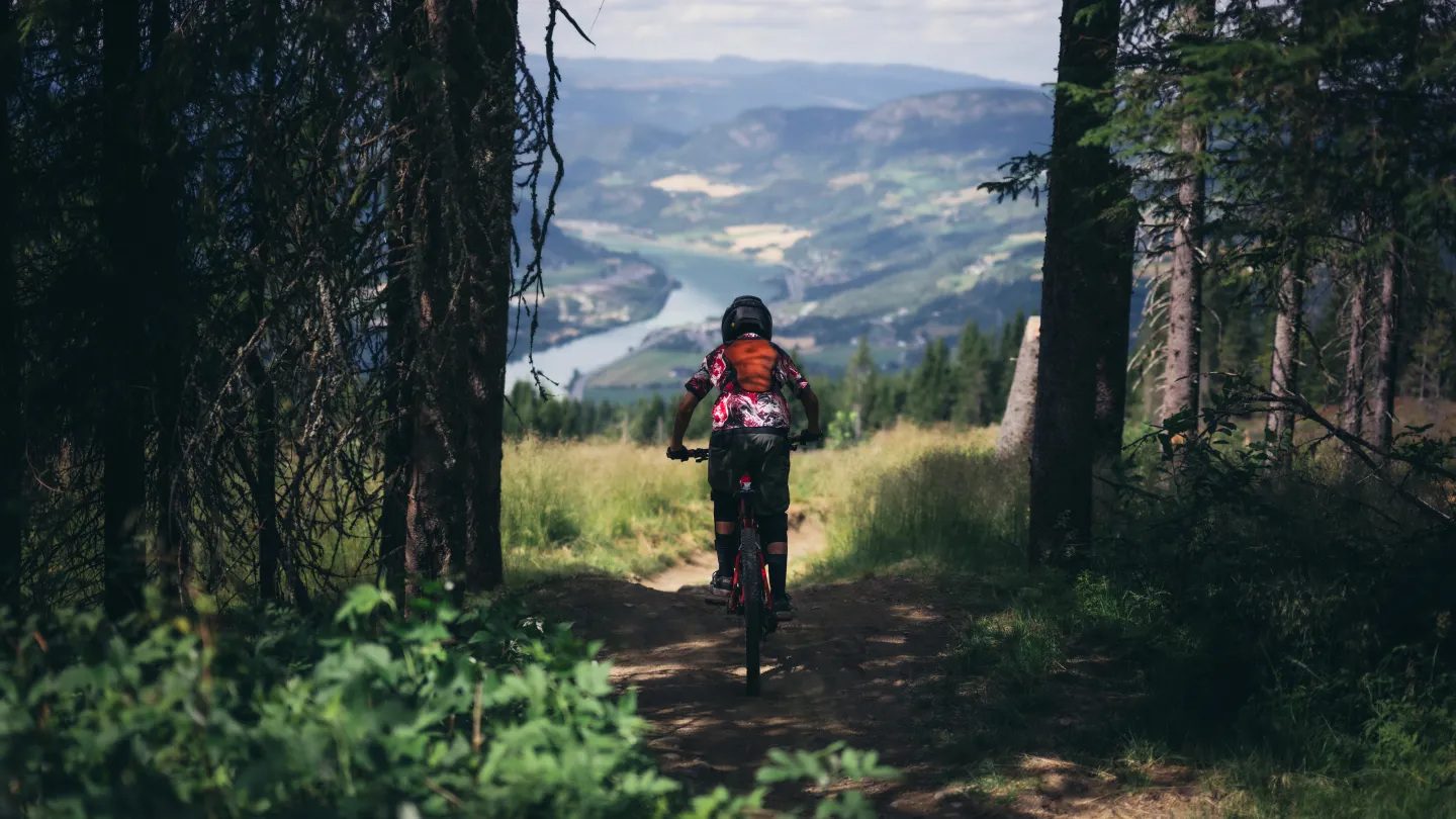 Sykling i skog hafjell