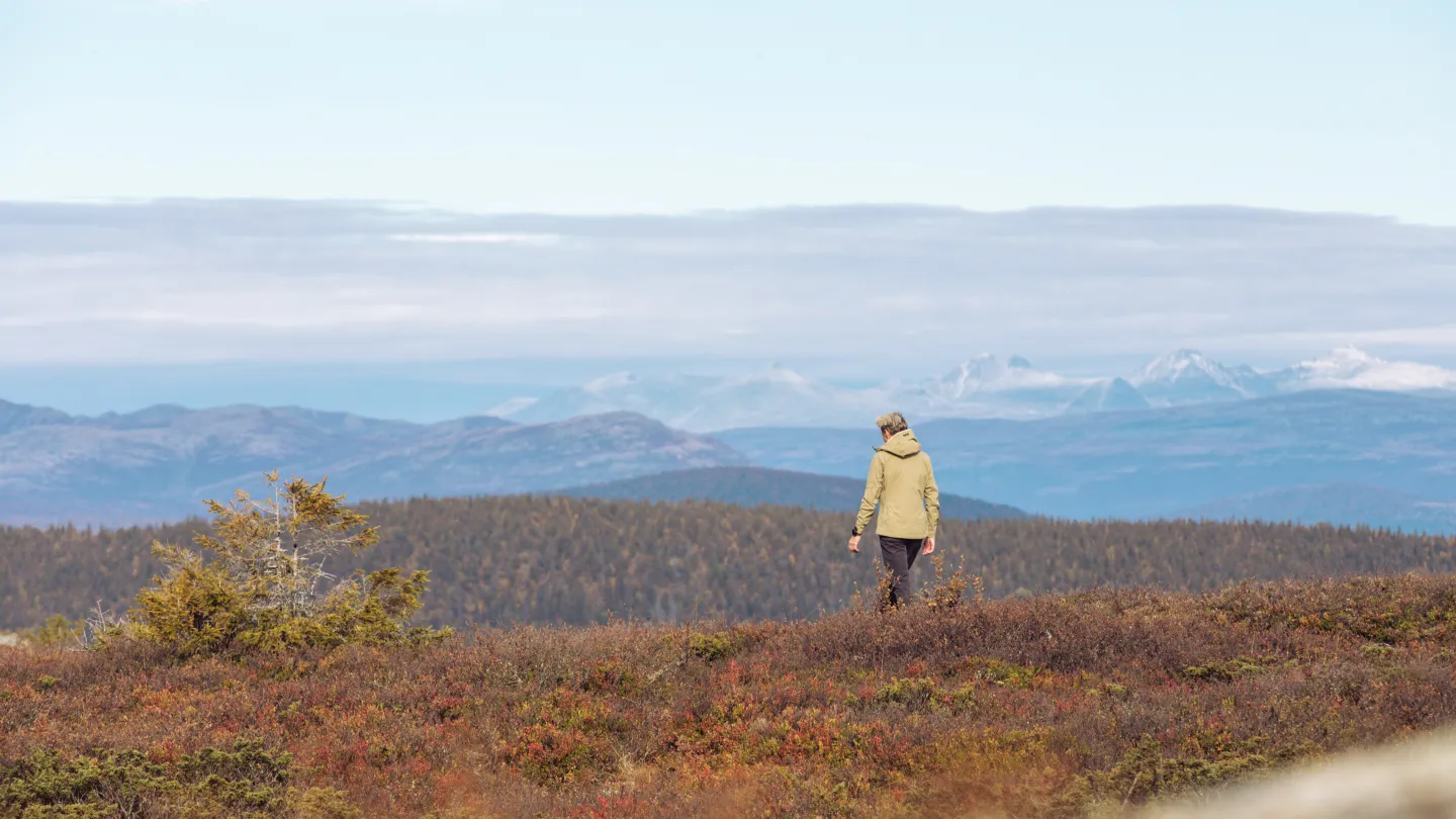 Høst i Kvitfjell