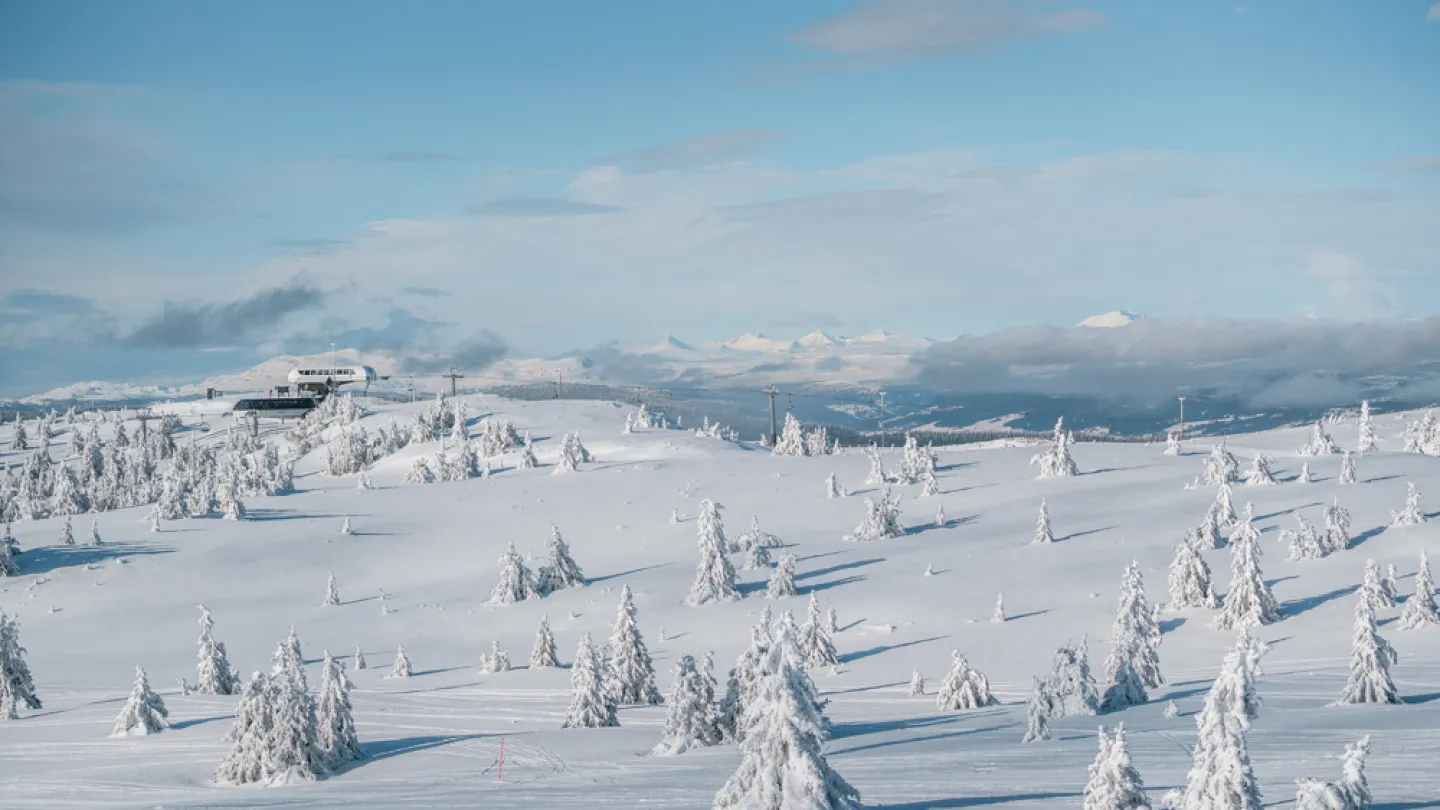 Kvitfjell