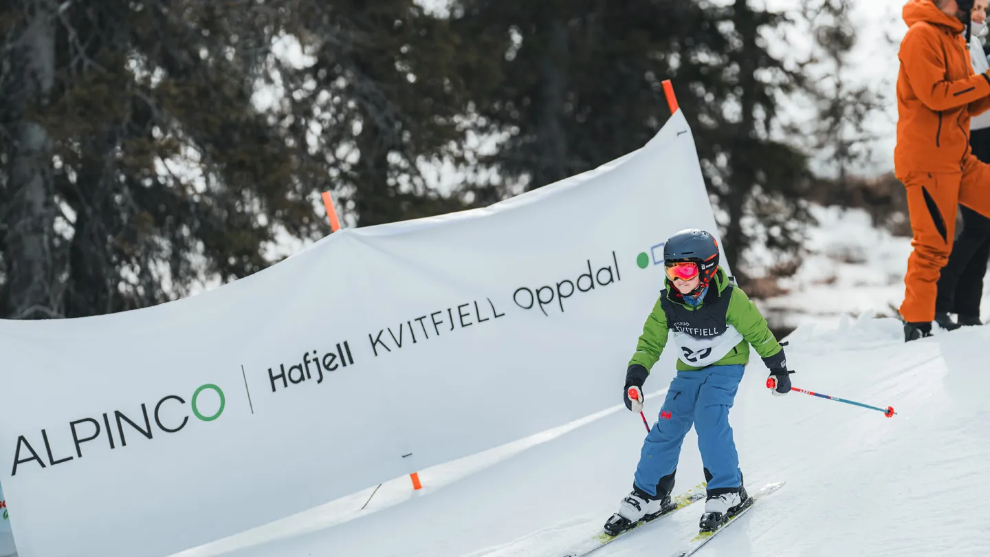 Alpinco Varden utfor