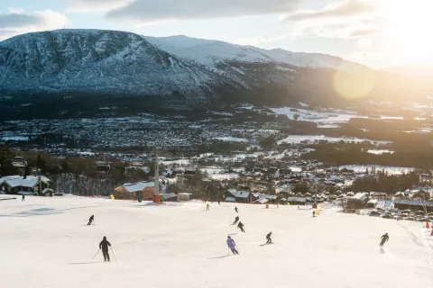 Vangslia November 2025