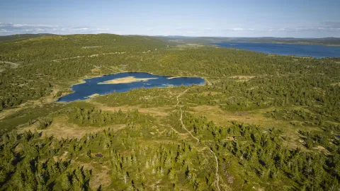 Malmtjønn