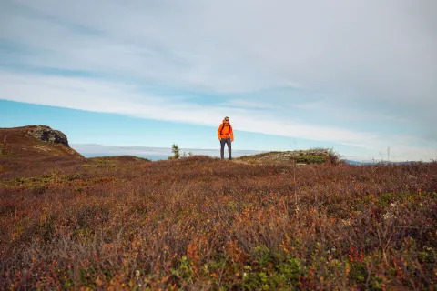 Hestknappen, Kvitfjell Alpinanlegg.