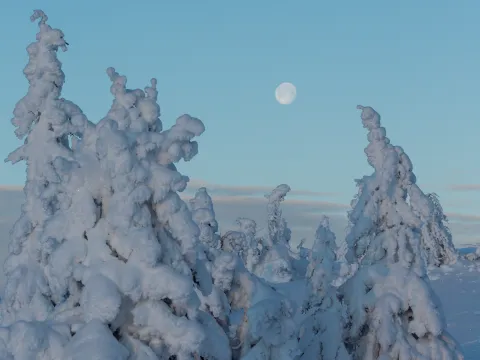 Ekte vinter i Kvitfjell Alpinanlegg.