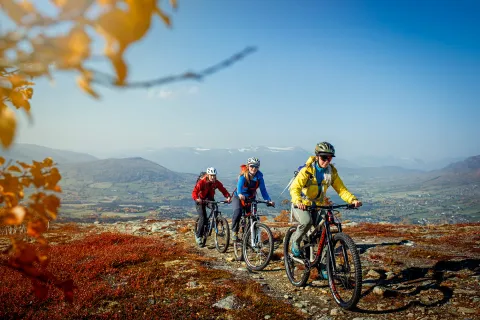 Oppdal Høst Sykkel