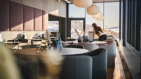 Vidsyn Restaurant