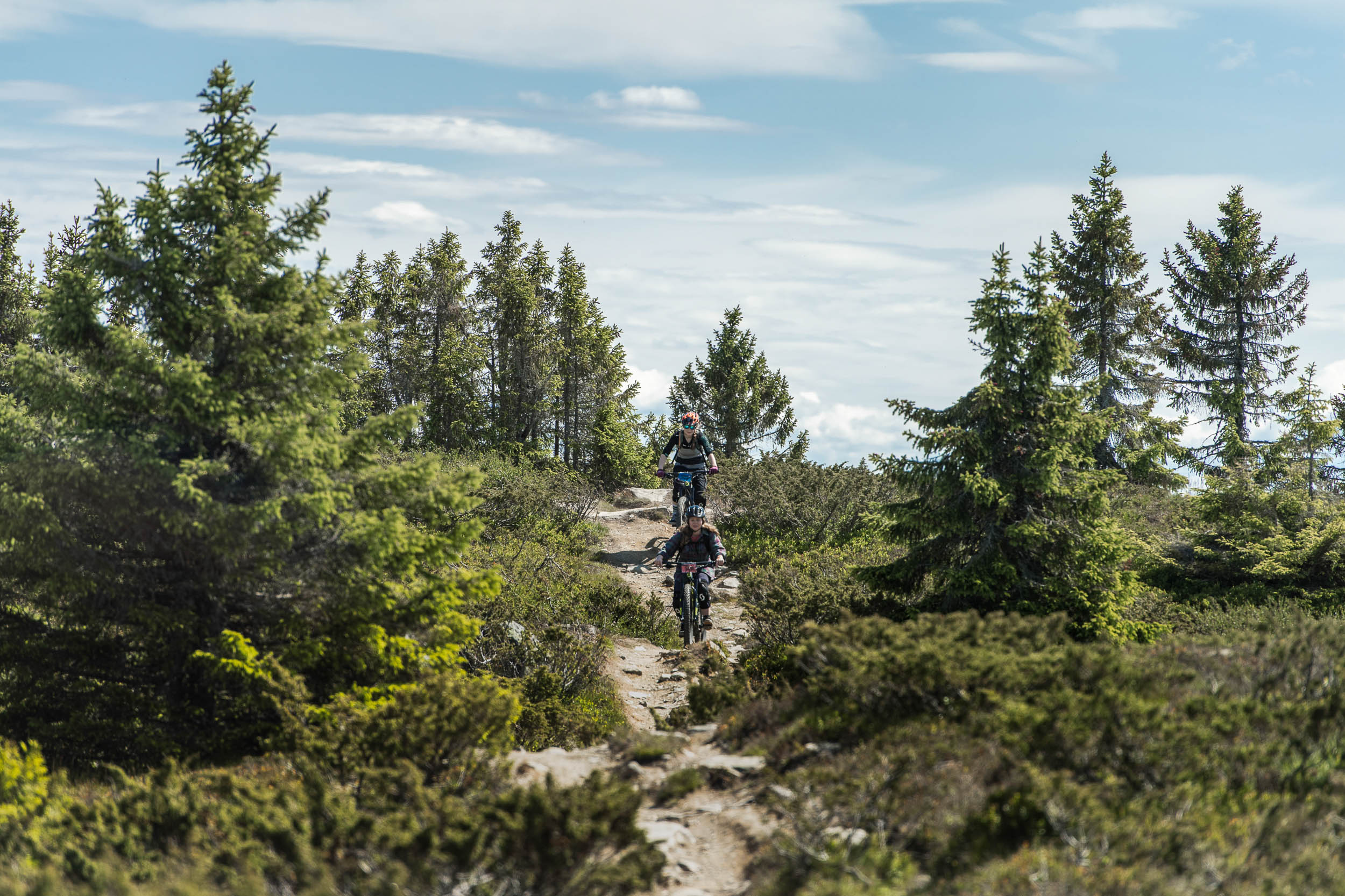 Stisykling Hafjell